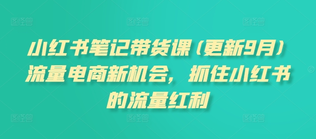 小红书笔记带货课(更新12月)流量电商新机会，抓住小红书的流量红利-第一资源站