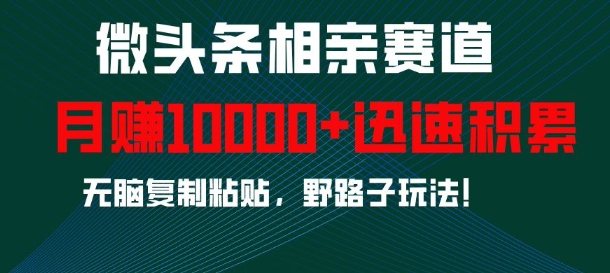 微头条相亲赛道，迅速积累，无脑复制粘贴，野路子玩法，月入1w-第一资源站