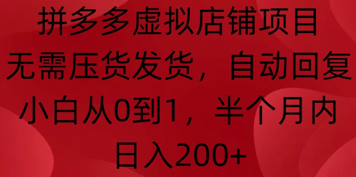 拼多多虚拟店铺项目，无需压货发货，自动回复，小白从0到1，半个月内日入200+【揭秘】-第一资源站