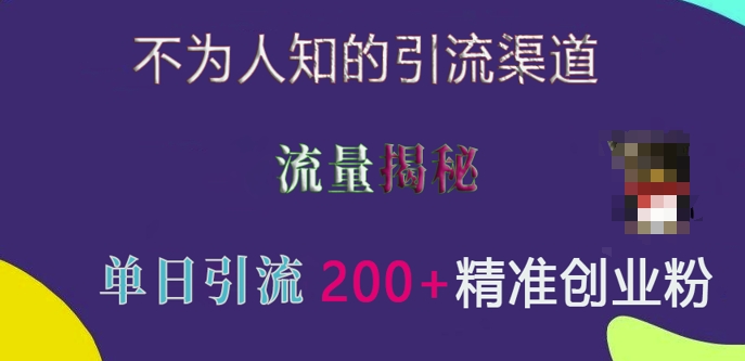 不为人知的引流渠道，流量揭秘，实测单日引流200+精准创业粉【揭秘】-第一资源站