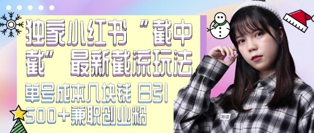 最新小红书截流玩法 独家截中截 单号成本几块钱 日引500+CY粉JZ粉-第一资源站