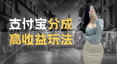 支付宝分成计划新玩法，利用交通事故视频，赚收益，轻松月入过W，操作简单【揭秘】-第一资源站
