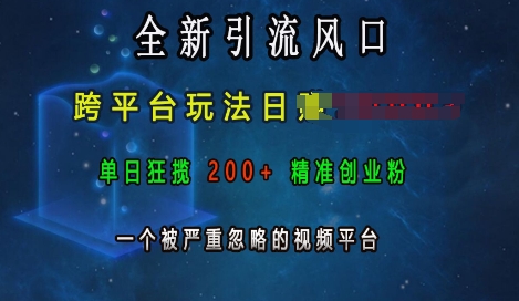 全新引流风口，跨平台玩法日入上k，单日狂揽200+精准创业粉，一个被严重忽略的视频平台-第一资源站