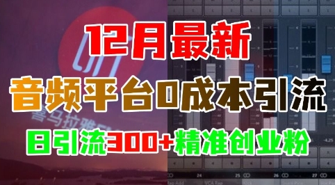 12月最新：音频平台0成本引流，日引流300+精准创业粉-第一资源站