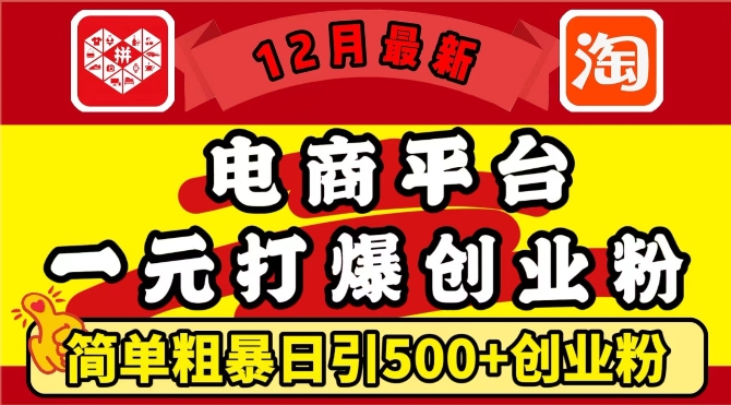 12月最新：电商平台1元打爆创业粉，简单粗暴日引500+精准创业粉，轻松月入过W【揭秘】-第一资源站