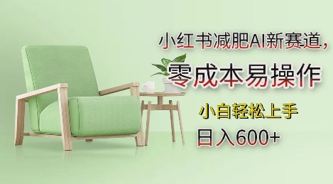 小红书减肥AI新赛道，零成本易操作，日入多张，小白轻松上手【揭秘】-第一资源站