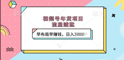 视频号年货项目，流量贼猛，早布局早挣钱，日入上k【揭秘】-第一资源站
