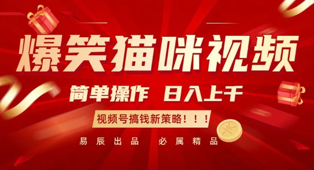 爆笑猫咪视频：简单操作，日入过K，视频号搞钱新策略【揭秘】-第一资源站