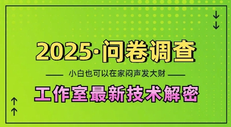 2025问卷调查最新工作室技术解密：一个人在家也可以闷声发大财，小白一天2张，可矩阵放大【揭秘】-第一资源站