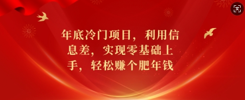 年底冷门项目，利用信息差，实现零基础上手，轻松赚个肥年钱【揭秘】-第一资源站