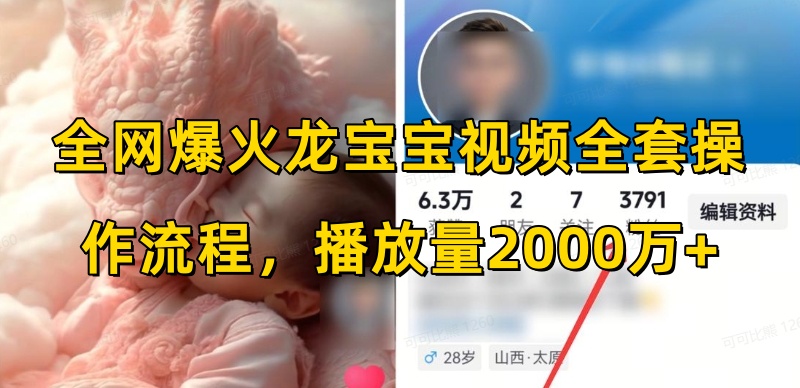 全网爆火龙宝宝视频全套操作流程，播放量2000万+-第一资源站