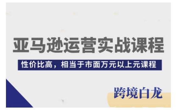 亚马逊运营实战课程，亚马逊从入门到精通，性价比高，相当于市面万元以上元课程-第一资源站