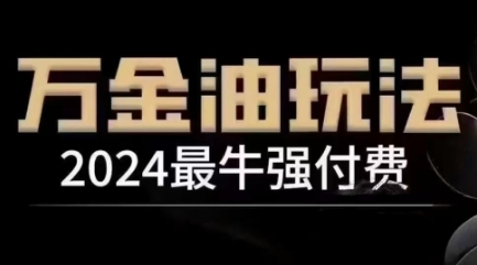 2024最牛强付费，万金油强付费玩法，干货满满，全程实操起飞（更新12月）-第一资源站