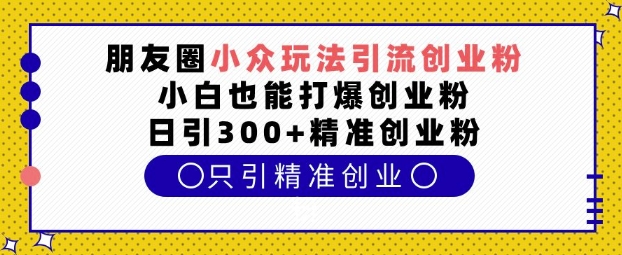 朋友圈小众玩法引流创业粉，小白也能打爆创业粉，日引300+精准创业粉【揭秘】-第一资源站