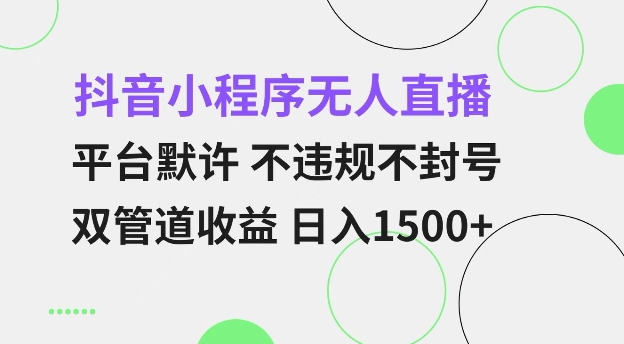 抖音小程序无人直播 平台默许 不违规不封号 双管道收益 日入多张 小白也能轻松操作【仅揭秘】-第一资源站