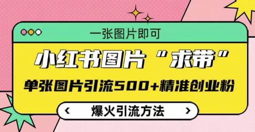 小红书图片‘求带’爆火引流法，单张图片引流500+精准创业粉【揭秘】-第一资源站