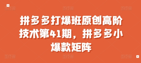 拼多多打爆班原创高阶技术第41期，拼多多小爆款矩阵-第一资源站