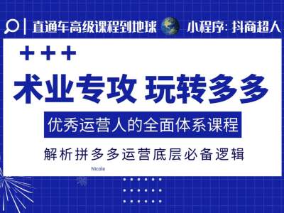 术业专攻玩转多多，优秀运营人的全面体系课程，解析拼多多运营底层必备逻辑-第一资源站