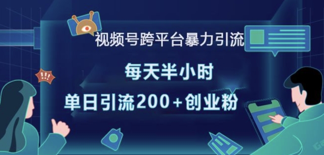 视频号跨平台暴力引流，每天半小时，单日引流200+精准创业粉-第一资源站