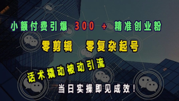 小额付费引爆 300 + 精准创业粉，零剪辑、零复杂起号，话术撬动被动引流，当日实操即见成效-第一资源站