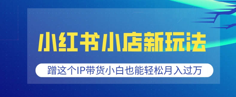 小红书小店新玩法，蹭这个IP带货，小白也能轻松月入过W【揭秘】-第一资源站