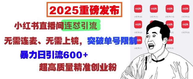 2025重磅发布：小红书直播间连怼引流，无需连麦、无需上镜，突破单号限制，暴力日引流600+-第一资源站