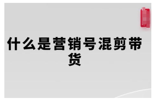 营销号混剪带货，从内容创作到流量变现的全流程，教你用营销号形式做混剪带货-第一资源站