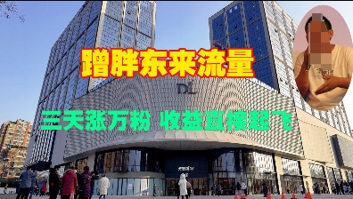 蹭胖东来流量，三天涨万粉，收益直接起飞-第一资源站