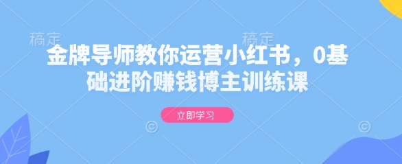金牌导师教你运营小红书，0基础进阶赚钱博主训练课-第一资源站