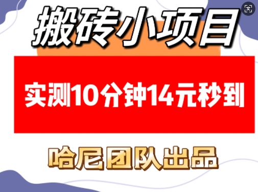 搬砖小项目，实测10分钟14元秒到，每天稳定几张(赠送必看稳定)-第一资源站