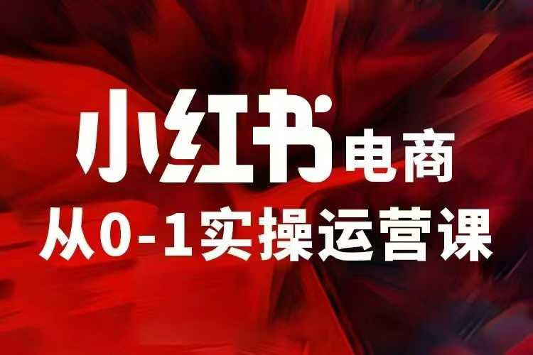小红书电商运营，97节小红书vip内部课，带你实现小红书赚钱-第一资源站