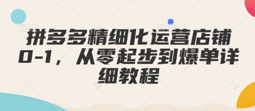 拼多多精细化运营店铺0-1，从零起步到爆单详细教程-第一资源站