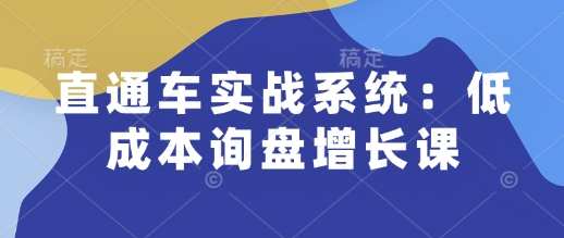 直通车实战系统：低成本询盘增长课，让个人通过技能实现升职加薪，让企业低成本获客，订单源源不断-第一资源站