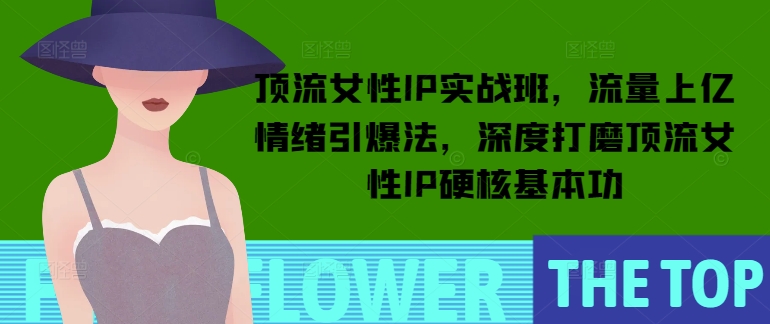 顶流女性IP实战班，流量上亿情绪引爆法，深度打磨顶流女性IP硬核基本功-第一资源站