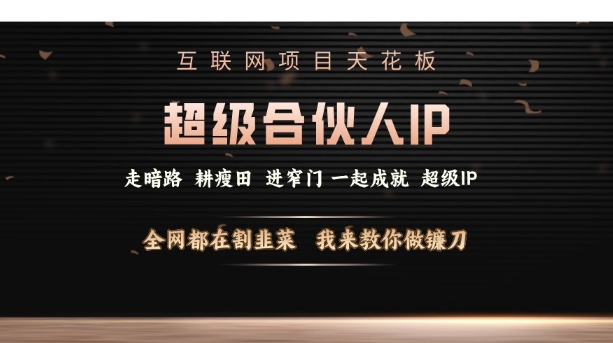 互联网项目天花板，超级合伙人IP，全网都在割韭菜，我来教你做镰刀【仅揭秘】-第一资源站