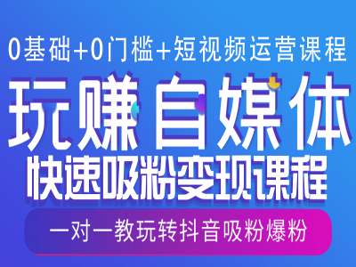 0基础+0门槛+短视频运营课程，玩赚自媒体快速吸粉变现课程，一对一教玩转抖音吸粉爆粉-第一资源站