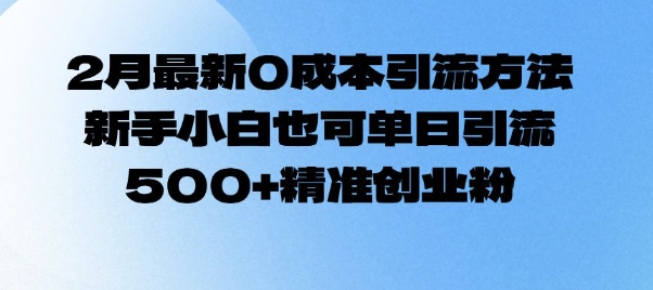 2月最新0成本引流方法，新手小白也可单日引流500+精准创业粉-第一资源站
