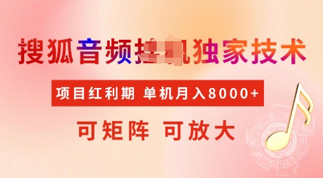 全网首发搜狐音频挂JI独家技术，项目红利期，可矩阵可放大，稳定月入8k【揭秘】-第一资源站