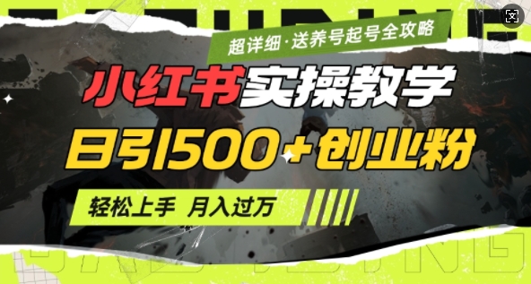 2月小红书最新日引500+创业粉实操教学【超详细】小白轻松上手，月入1W+，附小红书养号起号SOP-第一资源站