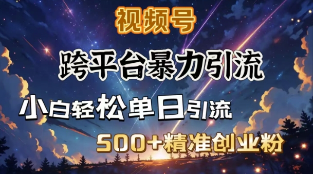 跨平台暴力引流，私域完美闭环，日引500+精准创业粉-第一资源站