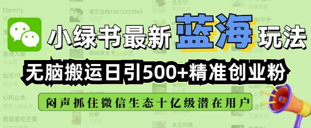 小绿书无脑搬运引流，全自动日引500精准创业粉，微信生态内又一个闷声发财的机会-第一资源站