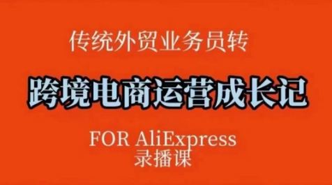 跨境电商速卖通运营课，​运营方法论+后台实操，逻辑清晰-第一资源站