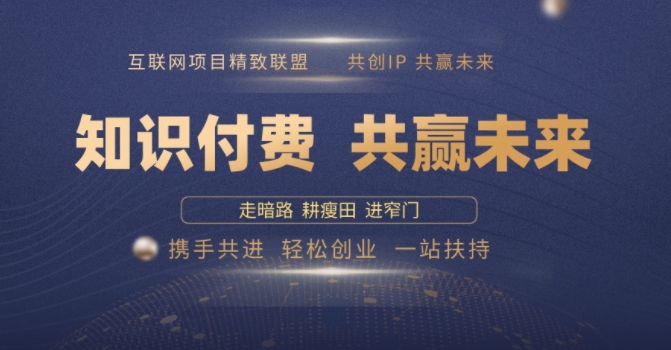 别人苦寻无果，为何他们靠知识付费卖项目 2025 年轻松年入100个?【揭秘】-第一资源站
