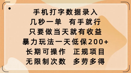 手机打字数据录入，几秒一单，有手就行，只要做当天就有收益，暴力玩法一天低保2张-第一资源站