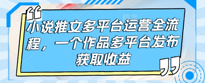 小说推文多平台运营全流程，一个作品多平台发布获取收益-第一资源站