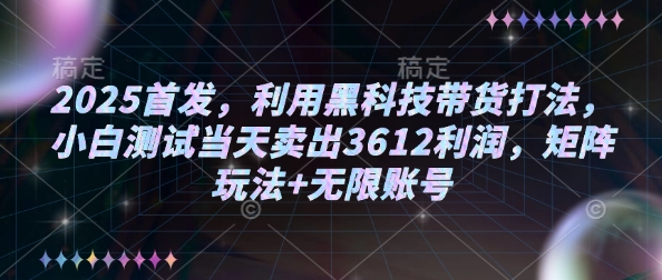 2025首发，利用黑科技带货打法，小白测试当天卖出3612利润，矩阵玩法+无限账号【揭秘】-第一资源站