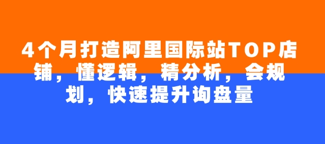 4个月打造阿里国际站TOP店铺，懂逻辑，精分析，会规划，快速提升询盘量-第一资源站