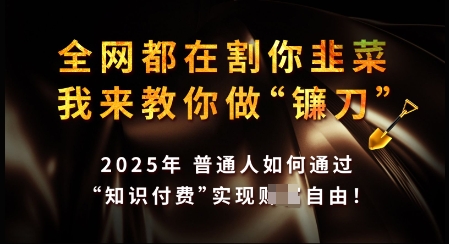 知识付费如何做到月入过W+，2025我来教你做“镰刀”【揭秘】-第一资源站