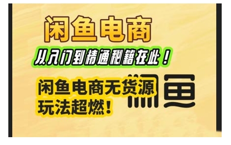 闲鱼电商实战课，从入门到精通秘籍在此，闲鱼电商无货源玩法超燃!-第一资源站