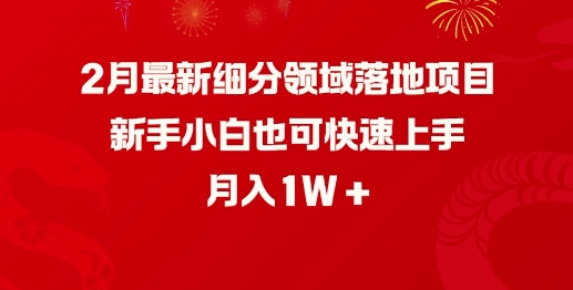 2月最新细分领域落地项目，新手小白也可快速上手，月入1W-第一资源站
